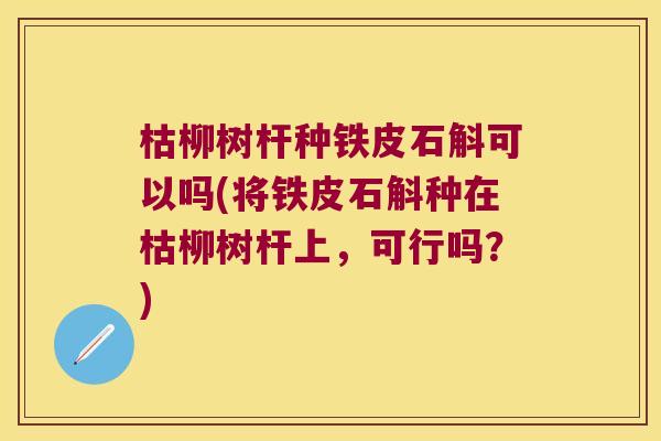 枯柳树杆种铁皮石斛可以吗(将铁皮石斛种在枯柳树杆上，可行吗？)