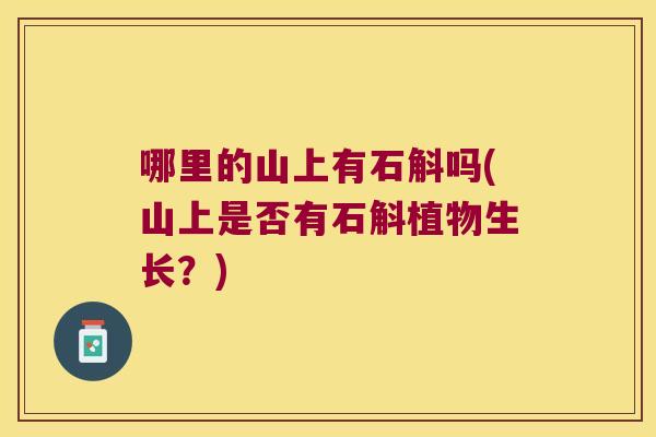 哪里的山上有石斛吗(山上是否有石斛植物生长？)