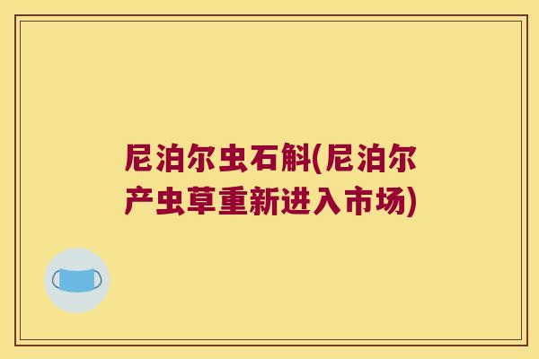 尼泊尔虫石斛(尼泊尔产虫草重新进入市场)