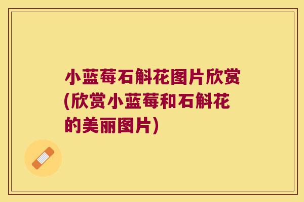 小蓝莓石斛花图片欣赏(欣赏小蓝莓和石斛花的美丽图片)