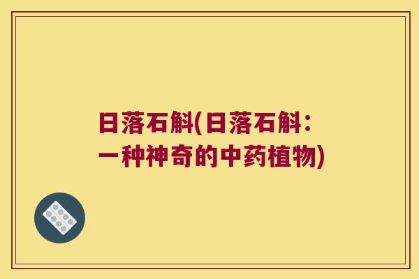 日落石斛(日落石斛：一种神奇的中药植物)