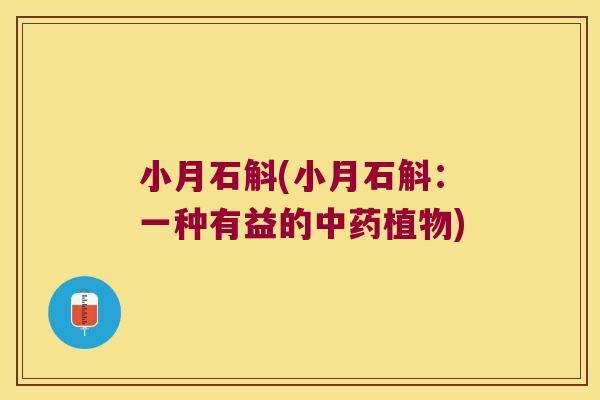 小月石斛(小月石斛：一种有益的中药植物)