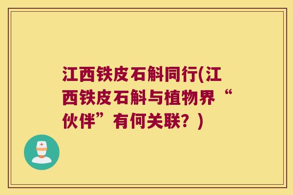 江西铁皮石斛同行(江西铁皮石斛与植物界“伙伴”有何关联？)