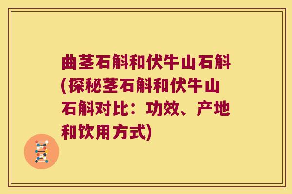 曲茎石斛和伏牛山石斛(探秘茎石斛和伏牛山石斛对比：功效、产地和饮用方式)