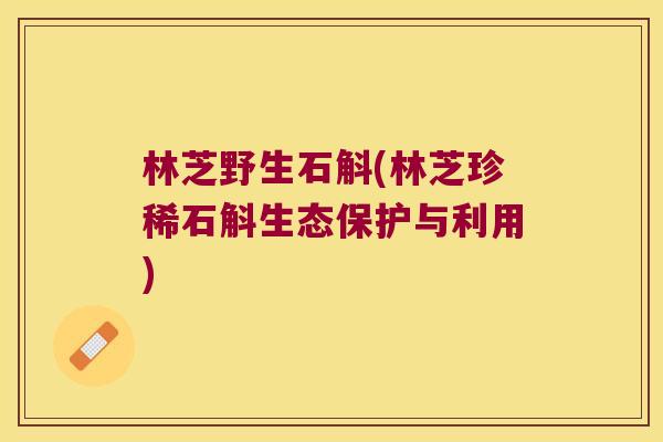 林芝野生石斛(林芝珍稀石斛生态保护与利用) 林芝野生石斛(林芝珍稀石斛生态保护与利用)