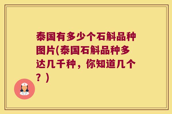 泰国有多少个石斛品种图片(泰国石斛品种多达几千种，你知道几个？)