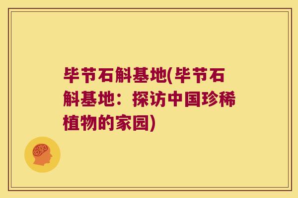 毕节石斛基地(毕节石斛基地:探访中国珍稀植物的家园) 毕节石斛基地(毕节石斛基地:探访中国珍稀植物的家园)
