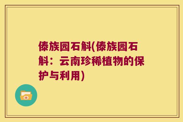 傣族园石斛(傣族园石斛：云南珍稀植物的保护与利用)