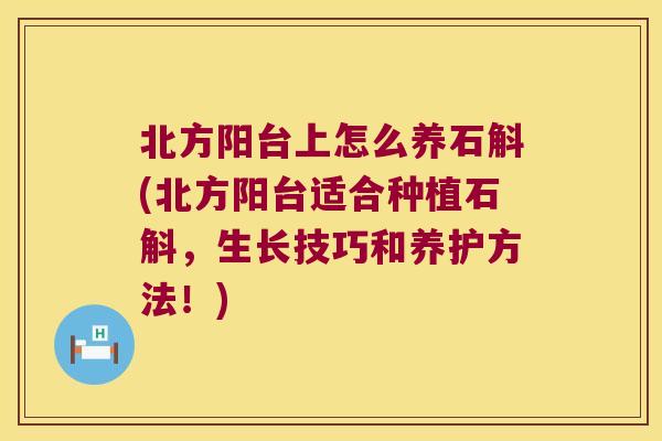 北方阳台上怎么养石斛(北方阳台适合种植石斛，生长技巧和养护方法！)