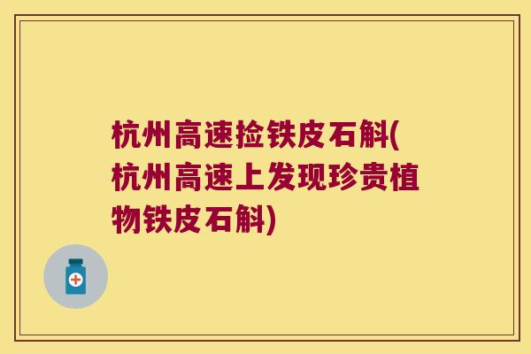 杭州高速捡铁皮石斛(杭州高速上发现珍贵植物铁皮石斛)