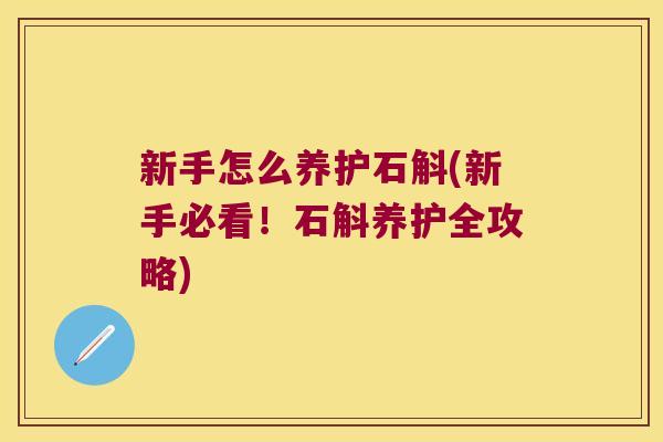 新手怎么养护石斛(新手必看！石斛养护全攻略)