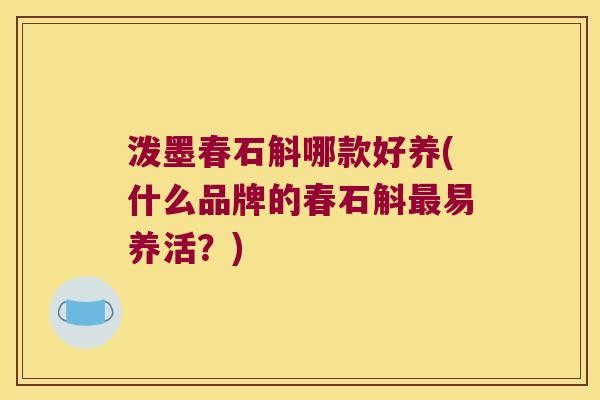泼墨春石斛哪款好养(什么品牌的春石斛最易养活？)