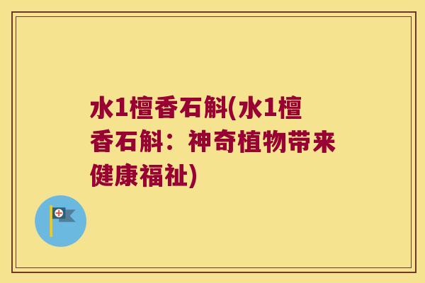水1檀香石斛(水1檀香石斛：神奇植物带来健康福祉)