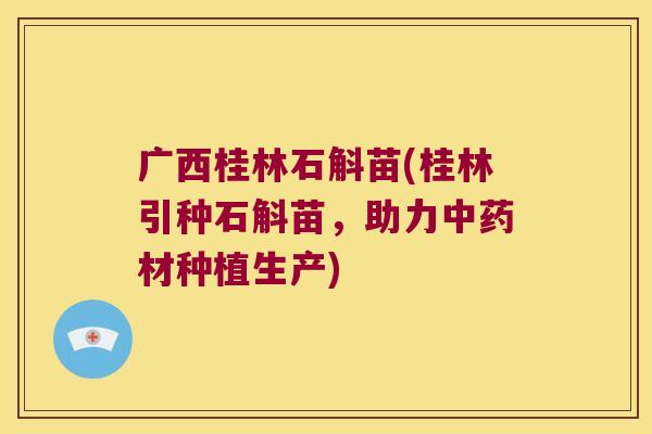 广西桂林石斛苗(桂林引种石斛苗，助力中药材种植生产)