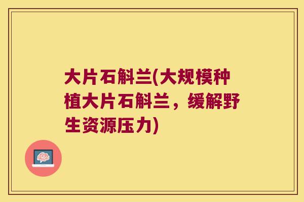 大片石斛兰(大规模种植大片石斛兰，缓解野生资源压力)