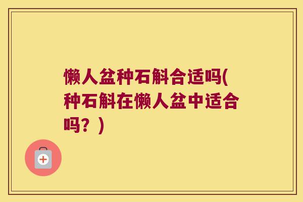 懒人盆种石斛合适吗(种石斛在懒人盆中适合吗？)