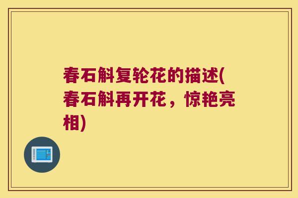 春石斛复轮花的描述(春石斛再开花，惊艳亮相)