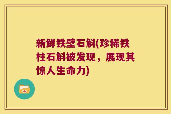 新鲜铁壁石斛(珍稀铁柱石斛被发现，展现其惊人生命力)