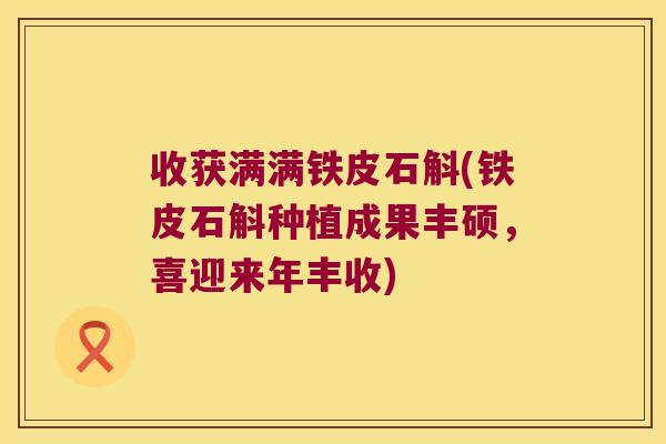 收获满满铁皮石斛(铁皮石斛种植成果丰硕，喜迎来年丰收)