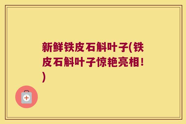 新鲜铁皮石斛叶子(铁皮石斛叶子惊艳亮相！)
