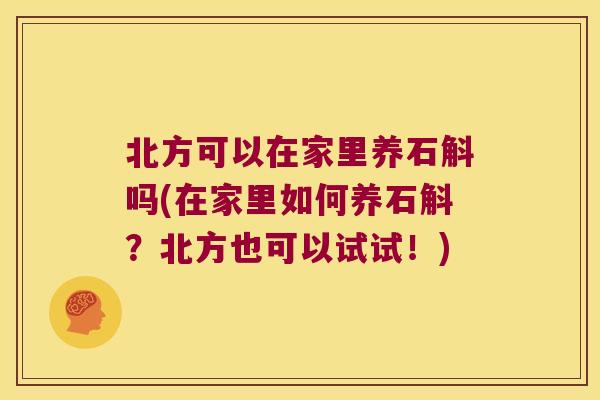 北方可以在家里养石斛吗(在家里如何养石斛?北方也可以试试!) 北方可以在家里养石斛吗(在家里如何养石斛?北方也可以试试!)