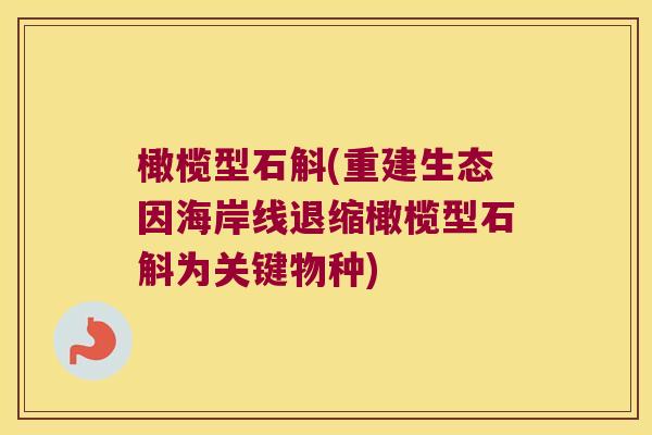 橄榄型石斛(重建生态因海岸线退缩橄榄型石斛为关键物种) 橄榄型石斛(重建生态因海岸线退缩橄榄型石斛为关键物种)