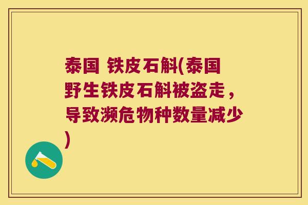 泰国 铁皮石斛(泰国野生铁皮石斛被盗走，导致濒危物种数量减少)