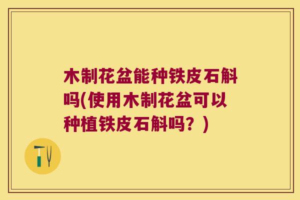 木制花盆能种铁皮石斛吗(使用木制花盆可以种植铁皮石斛吗？)