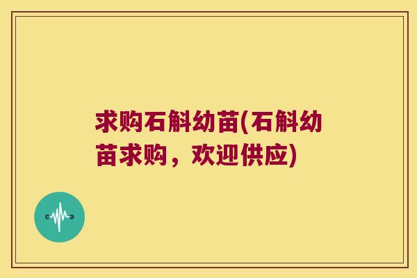 求购石斛幼苗(石斛幼苗求购，欢迎供应)
