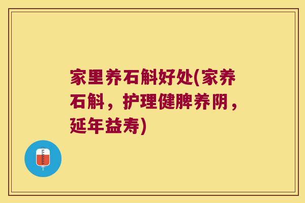 家里养石斛好处(家养石斛，护理健脾养阴，延年益寿)