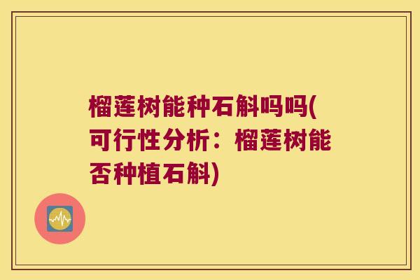 榴莲树能种石斛吗吗(可行性分析：榴莲树能否种植石斛)