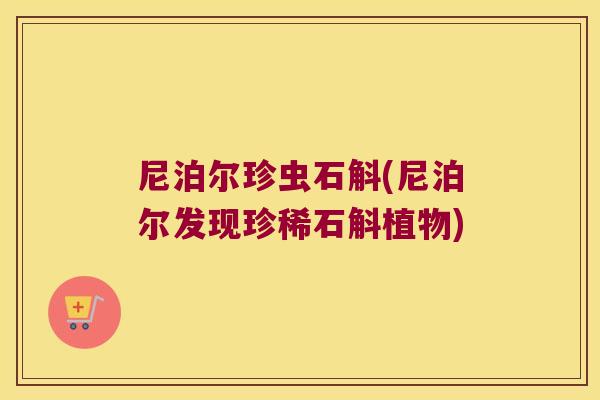 尼泊尔珍虫石斛(尼泊尔发现珍稀石斛植物)