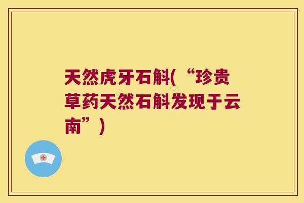 天然虎牙石斛(“珍贵草药天然石斛发现于云南”)