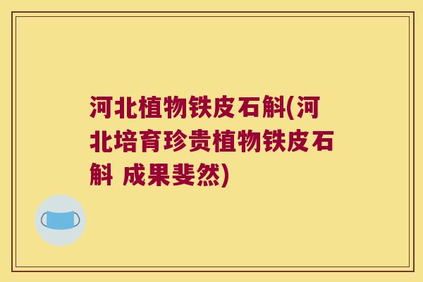 河北植物铁皮石斛(河北培育珍贵植物铁皮石斛 成果斐然)
