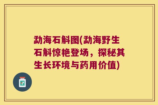 勐海石斛图(勐海野生石斛惊艳登场，探秘其生长环境与药用价值)