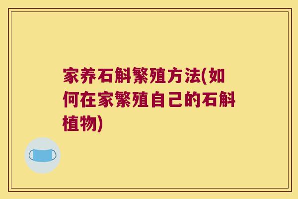 家养石斛繁殖方法(如何在家繁殖自己的石斛植物)