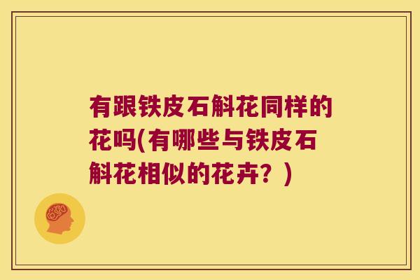 有跟铁皮石斛花同样的花吗(有哪些与铁皮石斛花相似的花卉？)