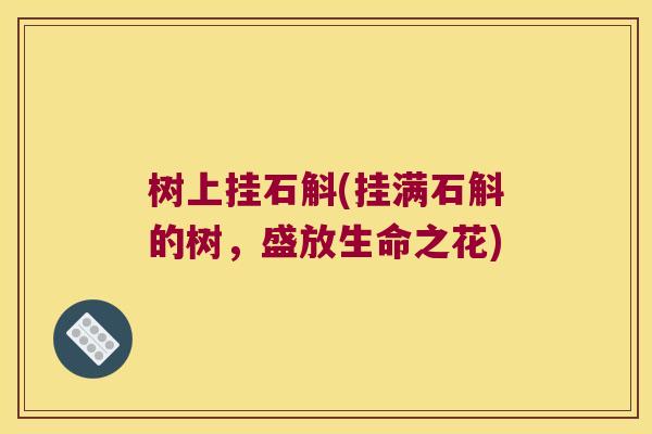 树上挂石斛(挂满石斛的树，盛放生命之花)