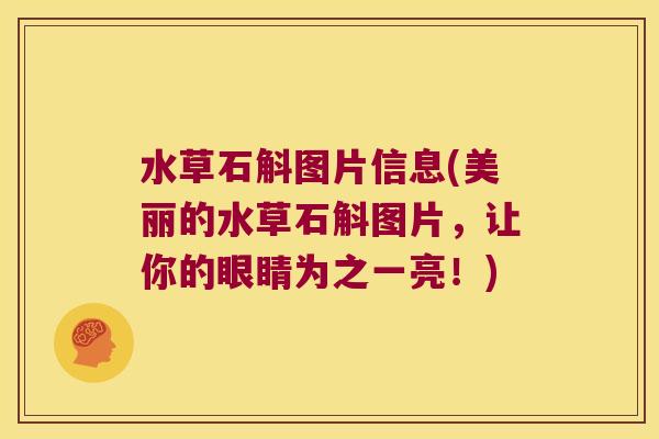 水草石斛图片信息(美丽的水草石斛图片，让你的眼睛为之一亮！)