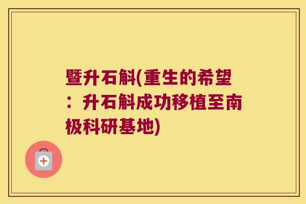 暨升石斛(重生的希望：升石斛成功移植至南极科研基地)