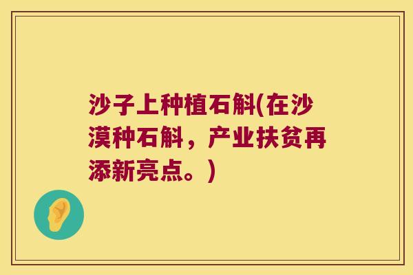 沙子上种植石斛(在沙漠种石斛,产业扶贫再添新亮点。) 沙子上种植石斛(在沙漠种石斛,产业扶贫再添新亮点。)