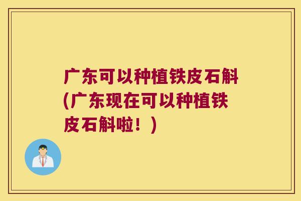 广东可以种植铁皮石斛(广东现在可以种植铁皮石斛啦！)