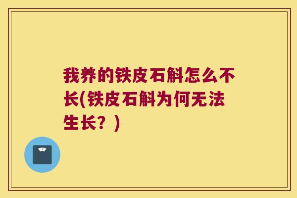 我养的铁皮石斛怎么不长(铁皮石斛为何无法生长？)