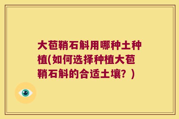 大苞鞘石斛用哪种土种植(如何选择种植大苞鞘石斛的合适土壤？)