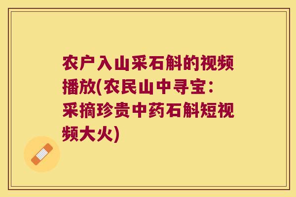 农户入山采石斛的视频播放(农民山中寻宝：采摘珍贵中药石斛短视频大火)