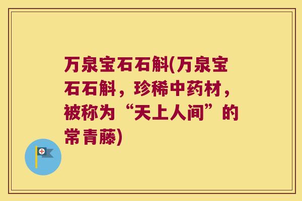 万泉宝石石斛(万泉宝石石斛，珍稀中药材，被称为“天上人间”的常青藤)