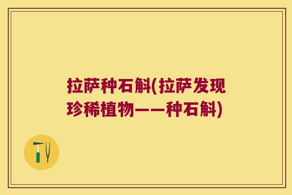 拉萨种石斛(拉萨发现珍稀植物——种石斛)