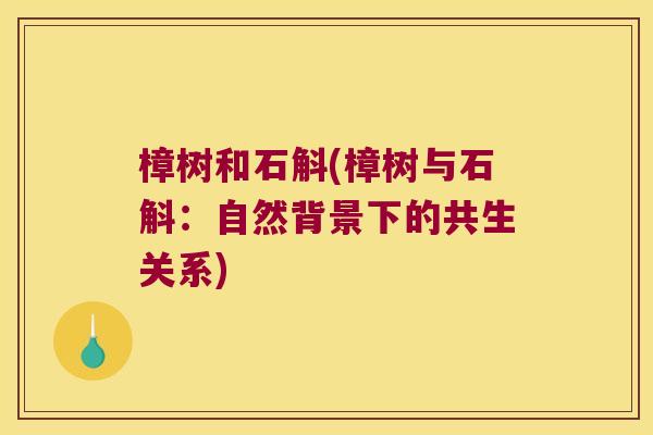樟树和石斛(樟树与石斛：自然背景下的共生关系)