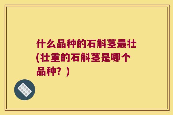 什么品种的石斛茎最壮(壮重的石斛茎是哪个品种？)