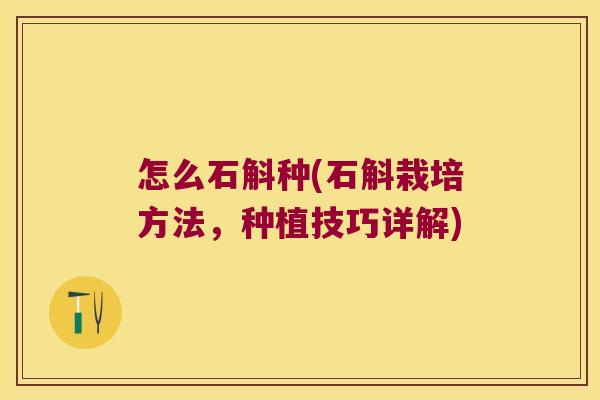怎么石斛种(石斛栽培方法，种植技巧详解)